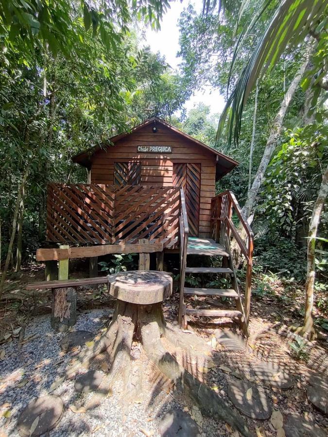 Hotel Refugio Samauma à Manaos Extérieur photo