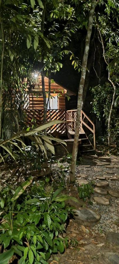 Hotel Refugio Samauma à Manaos Extérieur photo
