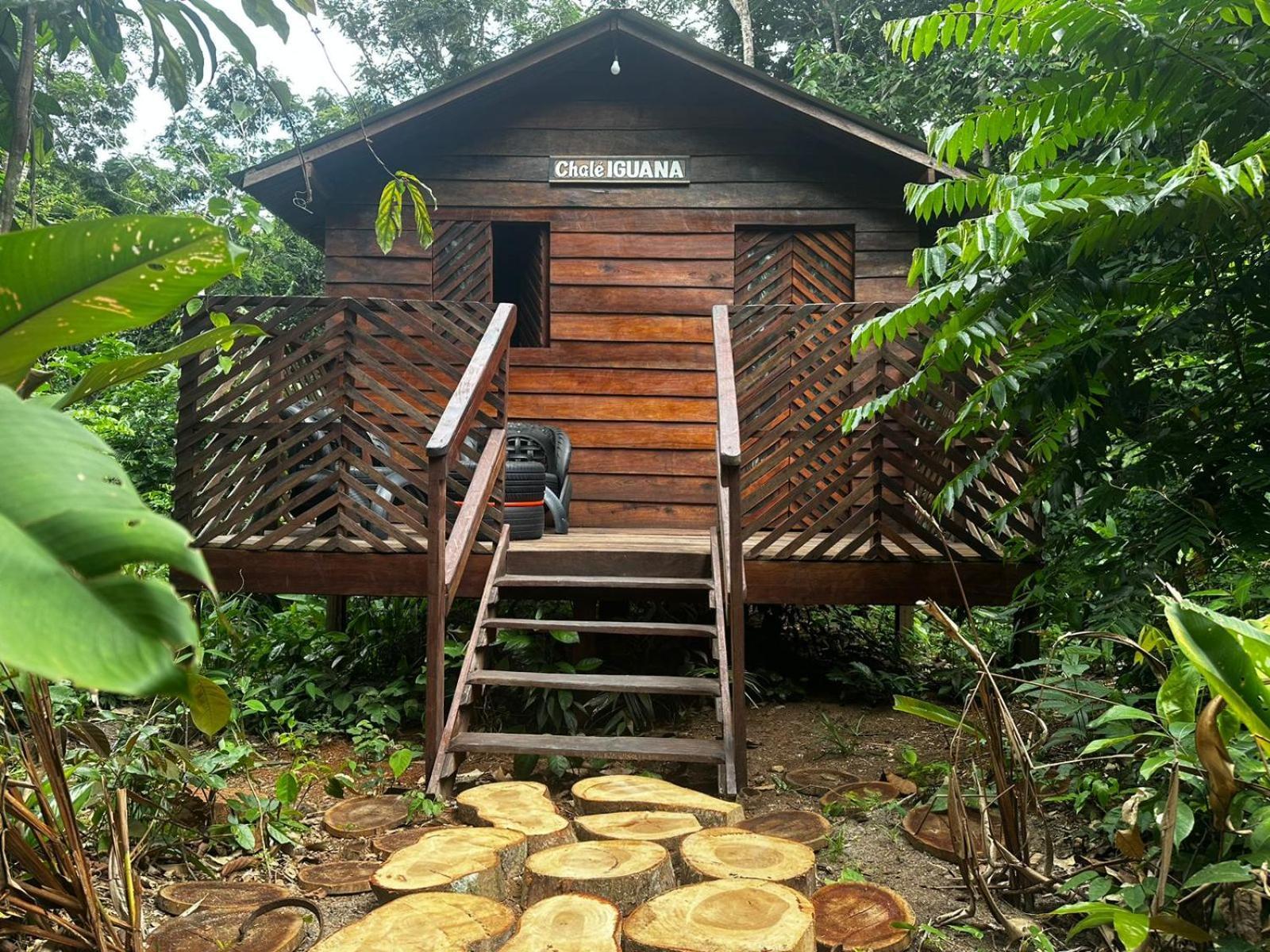 Hotel Refugio Samauma à Manaos Extérieur photo