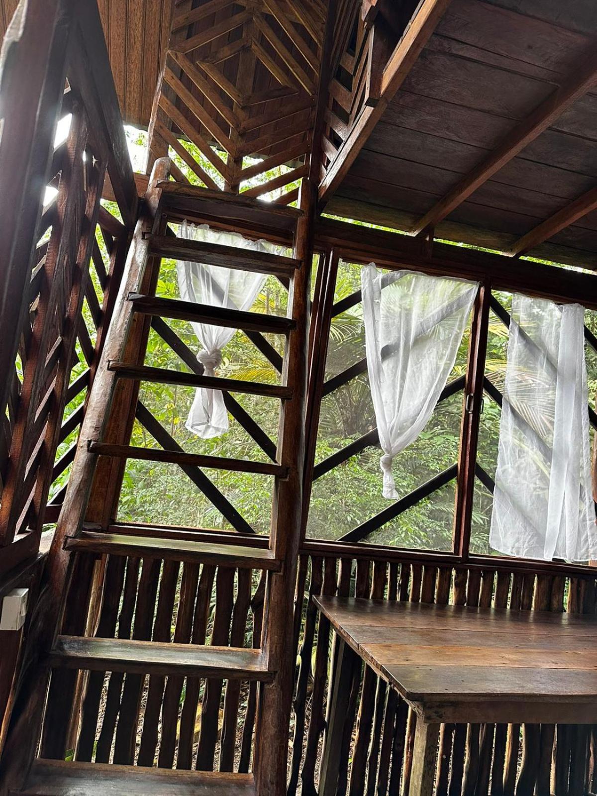 Hotel Refugio Samauma à Manaos Extérieur photo
